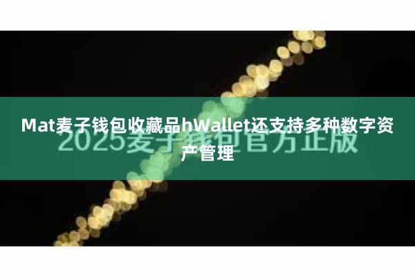 Mat麦子钱包收藏品hWallet还支持多种数字资产管理